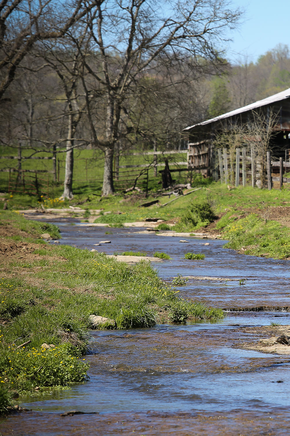 Horse Retirement Farms - Natural Creek