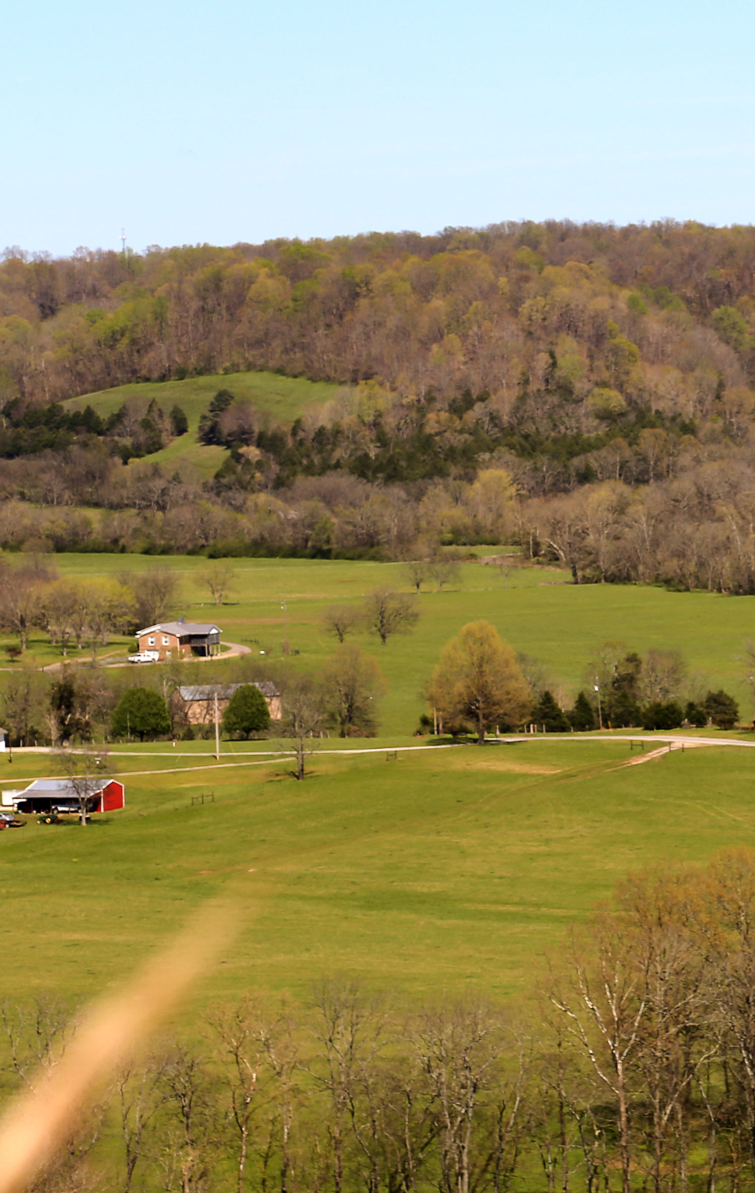 Southern Paradise Horse Retirement Farm