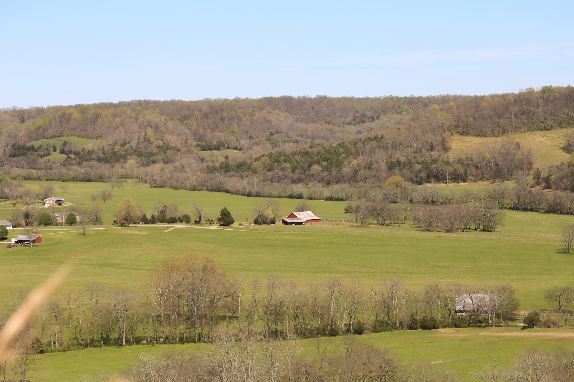 Southern Paradise Horse Retirement Farm