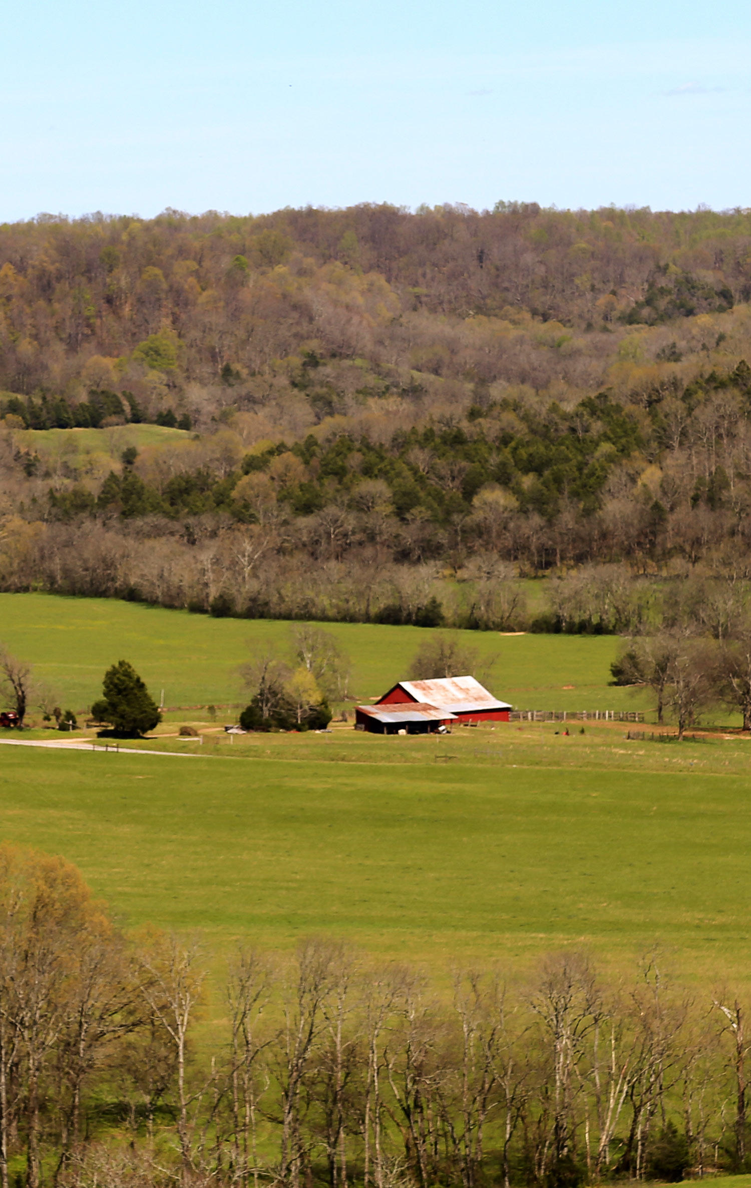 Southern Paradise Horse Retirement Farm