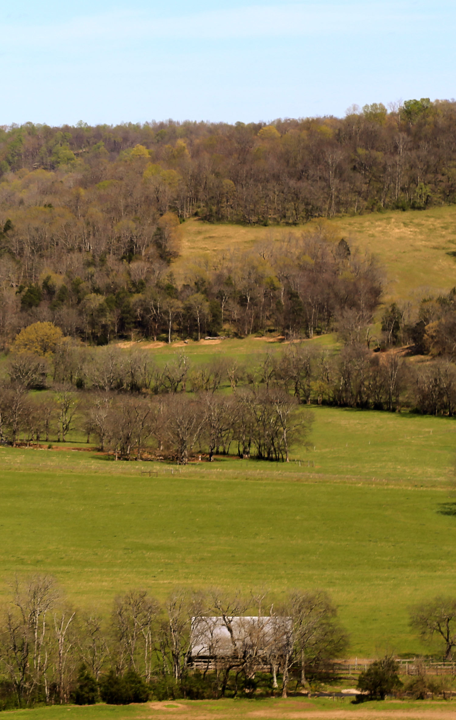 Southern Paradise Horse Retirement Farm