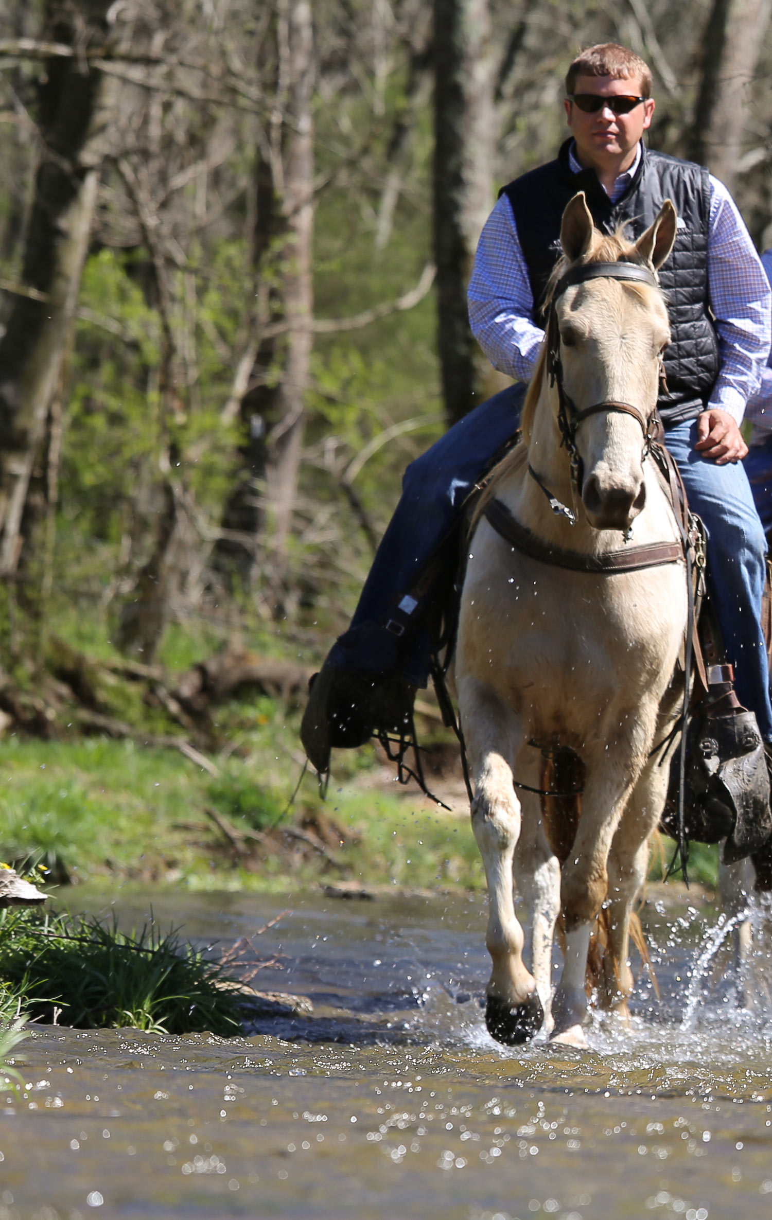 Home for Retired Horses