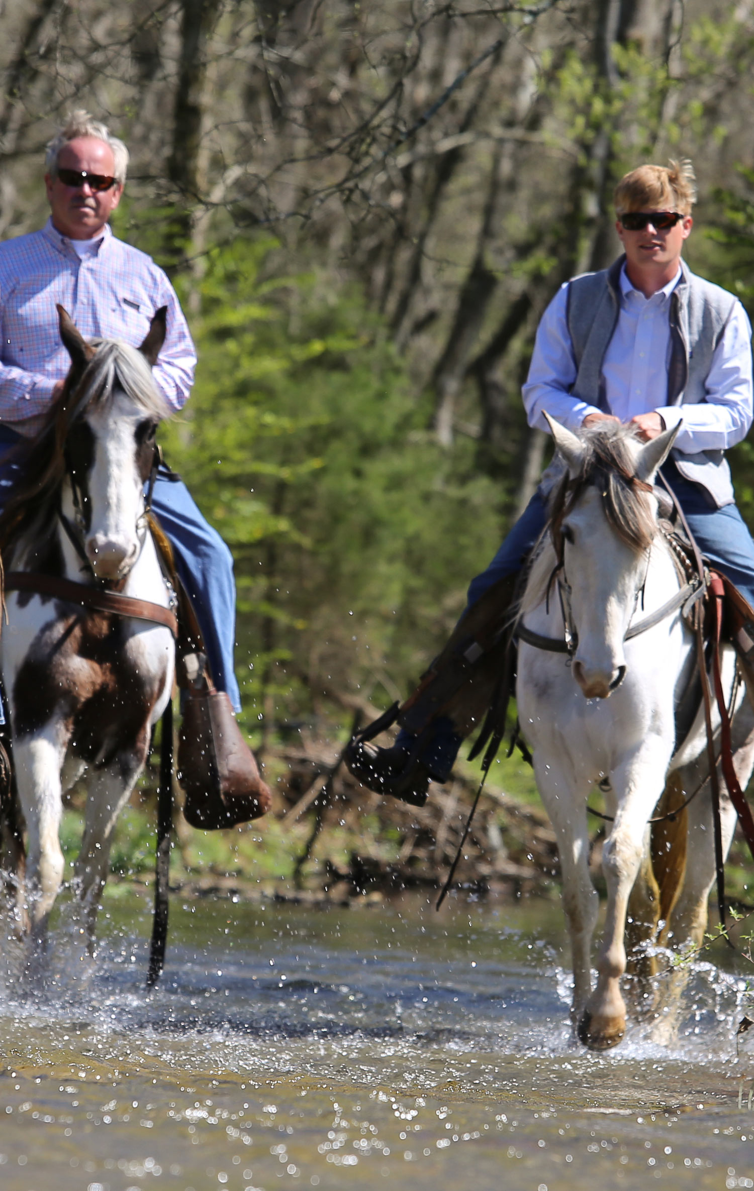 Home for Retired Horses