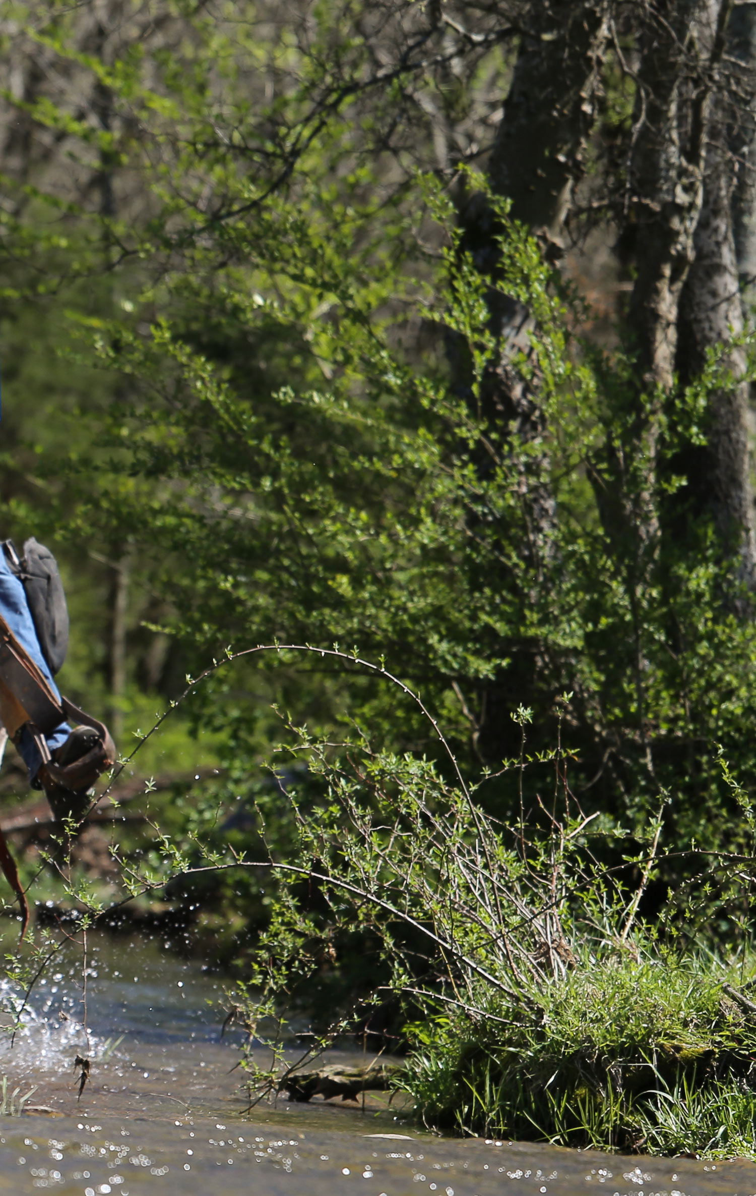 Home for Retired Horses