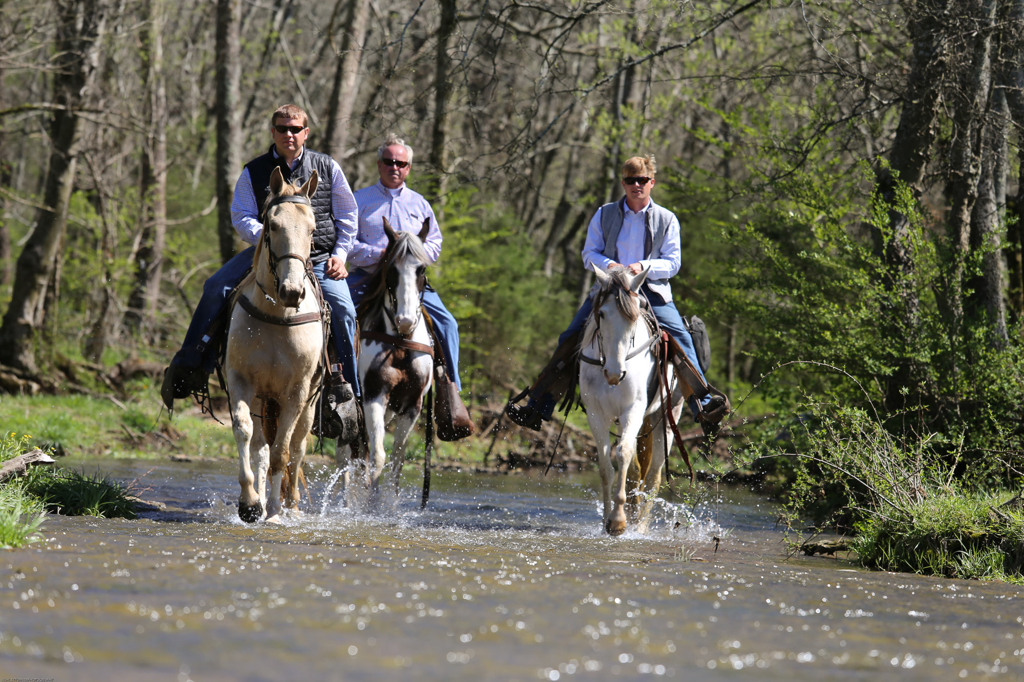 Home for Retired Horses